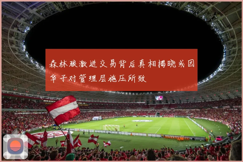 森林狼激进交易背后真相揭晓或因华子对管理层施压所致