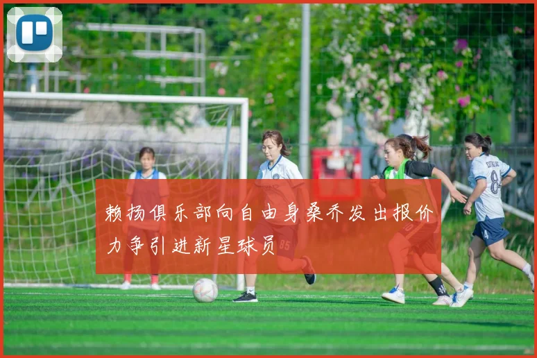 赖扬俱乐部向自由身桑乔发出报价力争引进新星球员